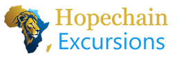 HopeChain Excursions Logo